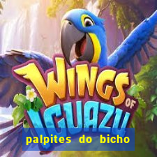 palpites do bicho no celular