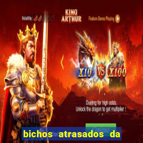 bichos atrasados da loteria federal