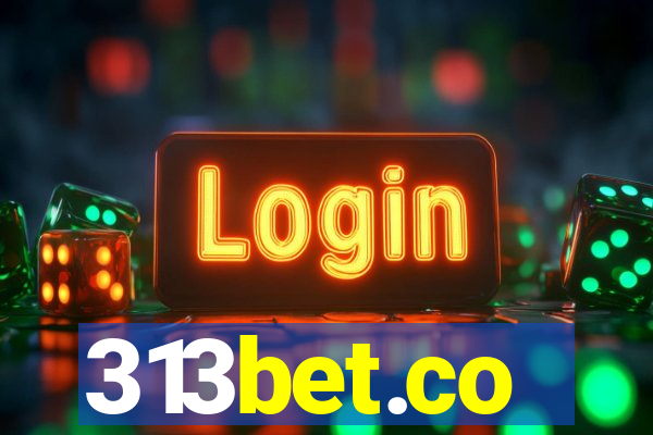 313bet.co