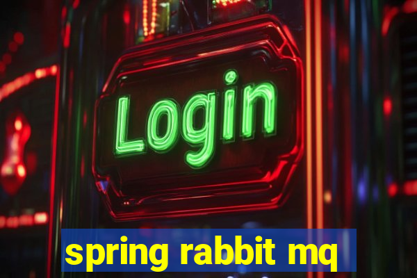 spring rabbit mq