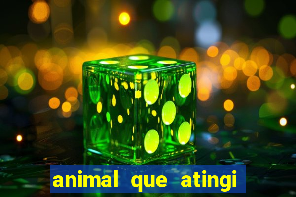 animal que atingi 230 decibeis