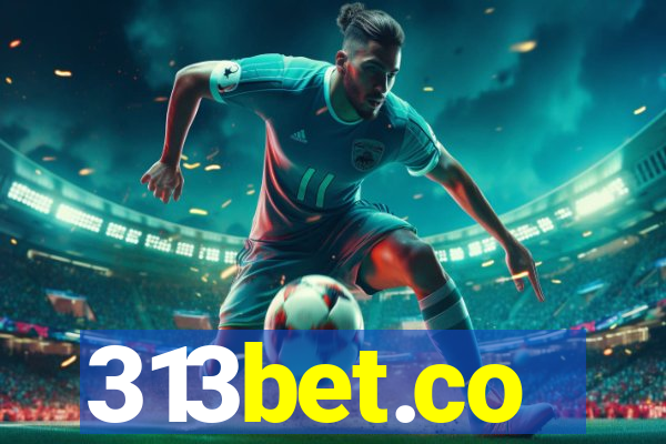 313bet.co