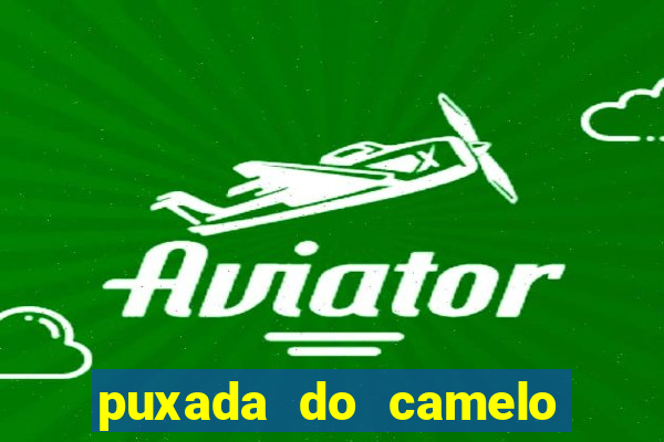 puxada do camelo no jogo do bicho