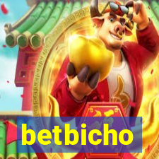 betbicho