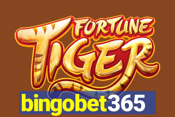 bingobet365