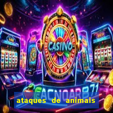 ataques de animais selvagens a humanos fatais