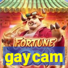 gaycam
