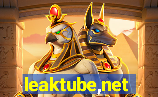 leaktube,net