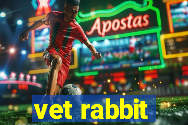 vet rabbit
