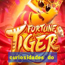curiosidades do egito atual