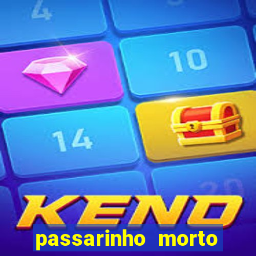 passarinho morto significado espiritual