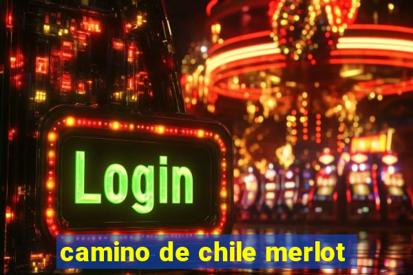 camino de chile merlot