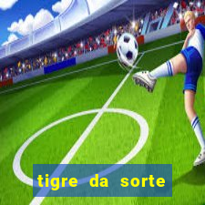 tigre da sorte fortune tiger 2 demo