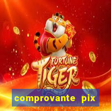 comprovante pix fake meme