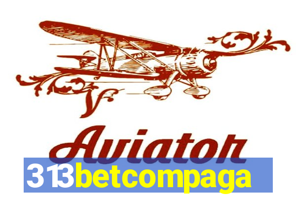 313betcompaga