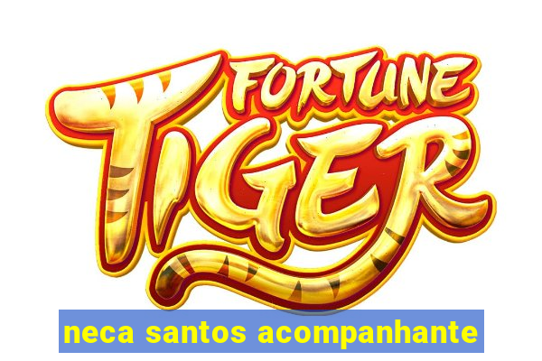 neca santos acompanhante