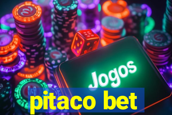 pitaco bet
