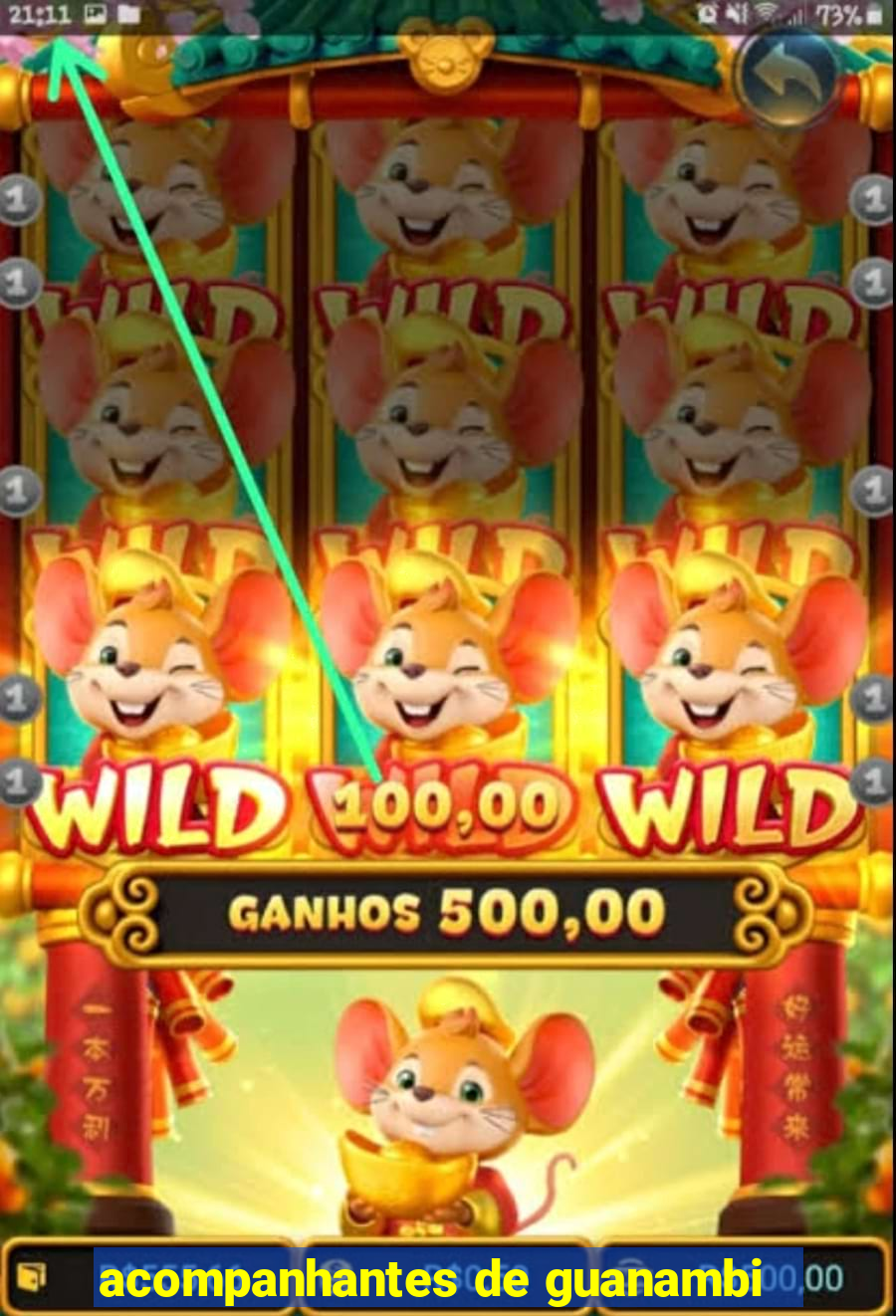 acompanhantes de guanambi