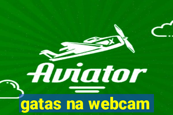 gatas na webcam