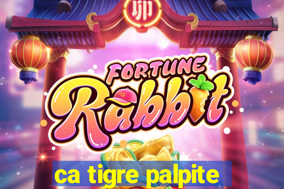 ca tigre palpite