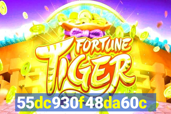6566bet com